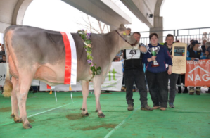 H.U. Husers Blooming PALMA Champion 2019